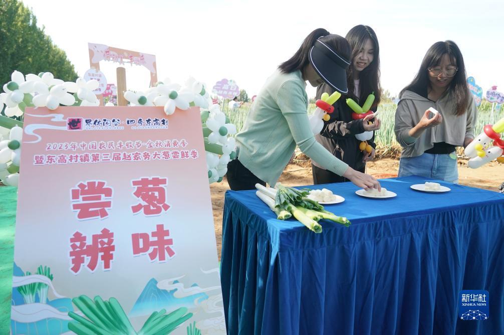 下载金沙集团
